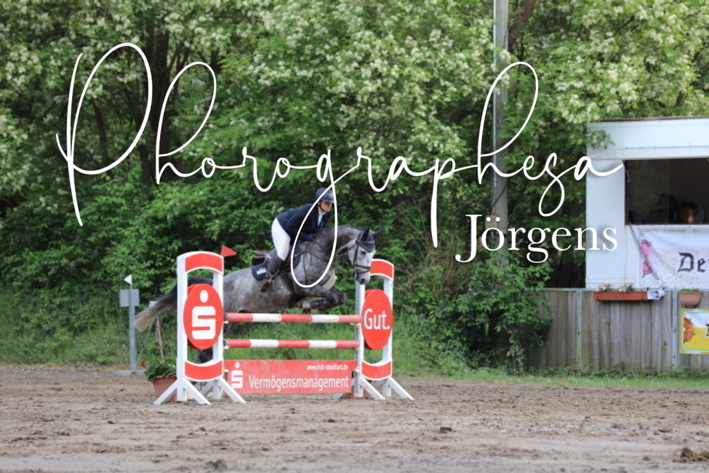 IMG_9086 | photographesa-joergens - Realisiert mit Pictrs.com