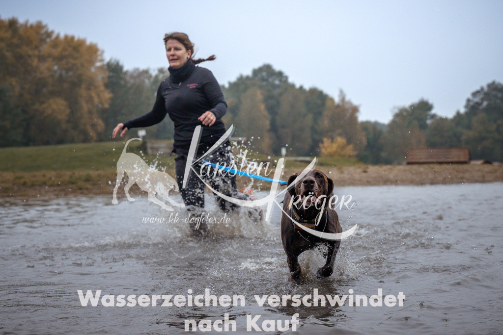 1016_ZZ98836 | kk-dogfotos