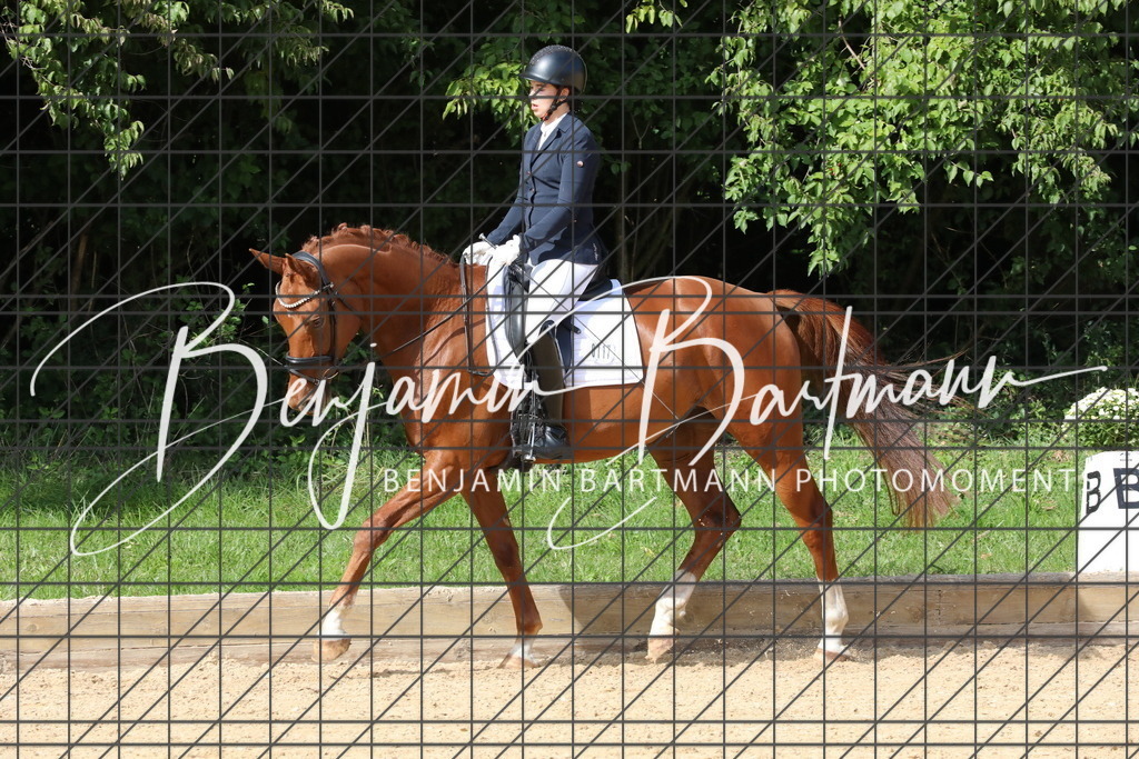 AZ2A2800 | Benjamin Bartmann Photomoments