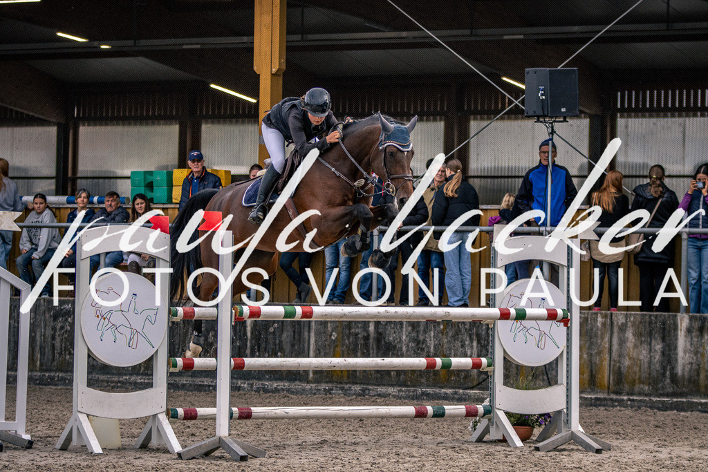 IMG_5976 | Erleben Sie dynamische Sport- und emotionale Tierfotografie in Süddeutschland mit Fotos von Paula. Spezialisiert auf Pferde- und Hundefotografie sowie Sportevents. Kontaktieren Sie mich für einzigartige und ausdrucksstarke Bilder Ihrer besonderen Momente.