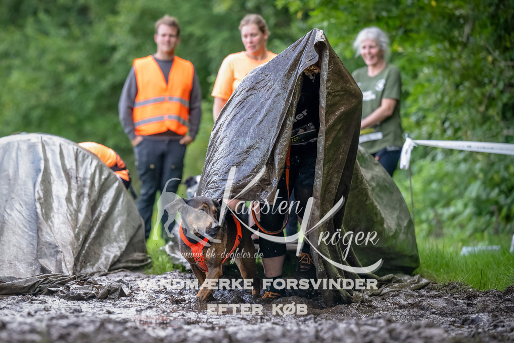 1153_ZZ90103-Bearbeitet | kk-dogfotos