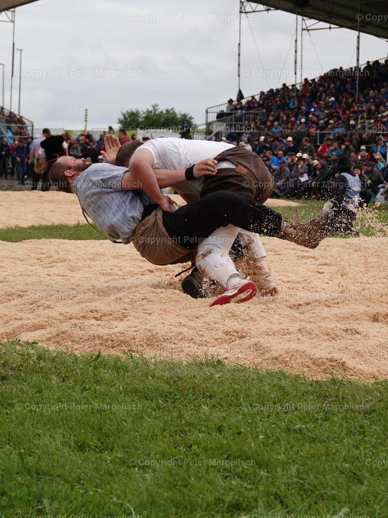 DSC08011 | Schwingen - Realisiert mit Pictrs.com