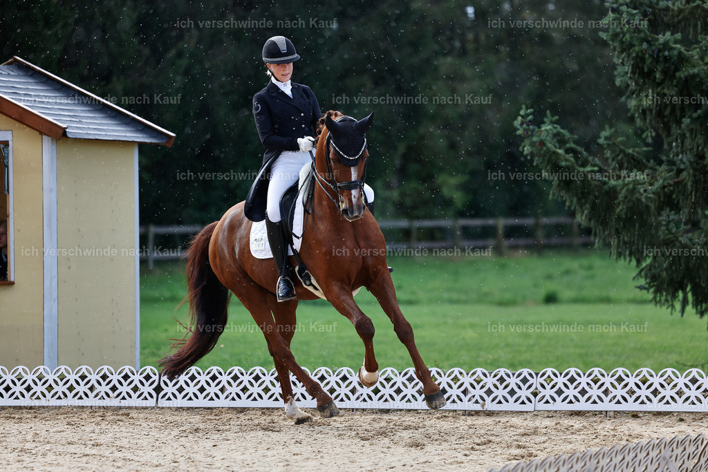 10-061-ST.GEORG SPECIAL -StoibPH-3140 | working equitationturnier fotograf videograf stoibphotography marixx film working equitation deutschland reitsport turnierfotografie eventfotografie equestrian events