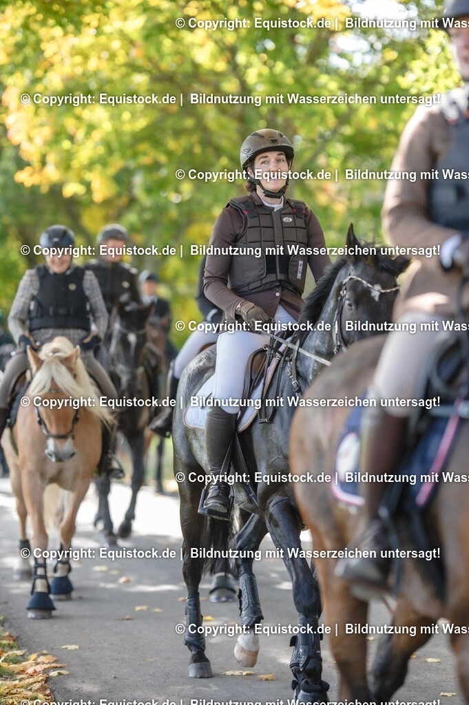 20251011_Jagd-Marbach_0300 | Foto: Thomas Hartig