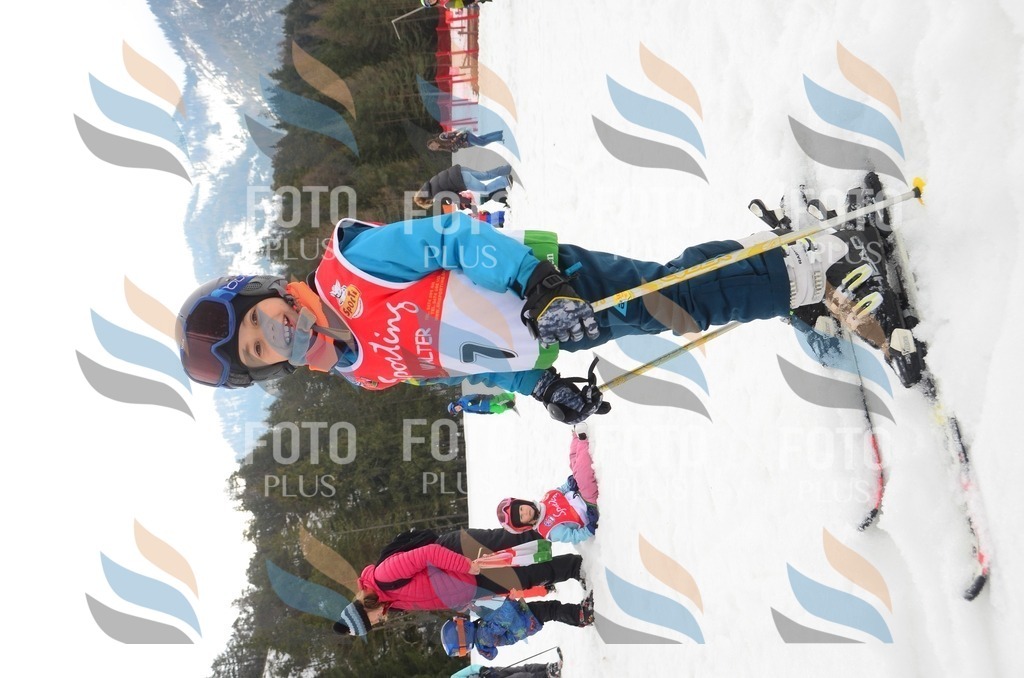 C1397 | holidayphoto