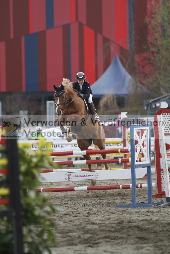 _MG_8460 | equestrian-live-com