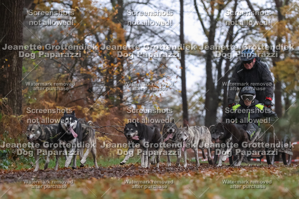 Dog Paparazzi - Ströhen 25-1 | Dog Paparazzi Jeanette Grottendiek Fotografie & Videografie - Realisiert mit Pictrs.com