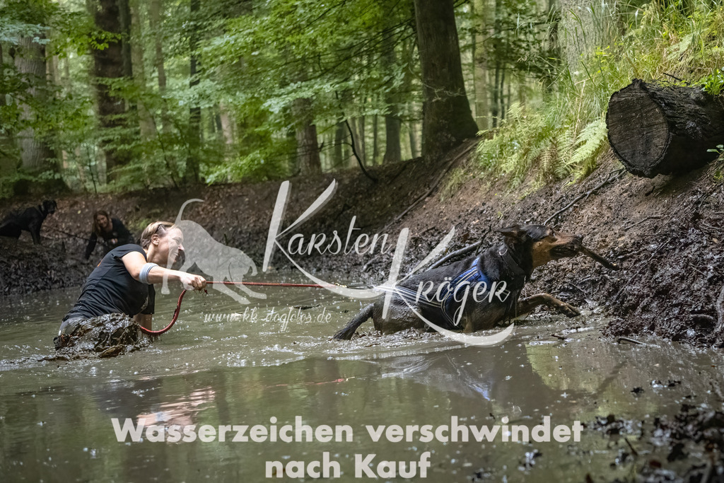 1147_ZZ91834-Bearbeitet-2 | kk-dogfotos