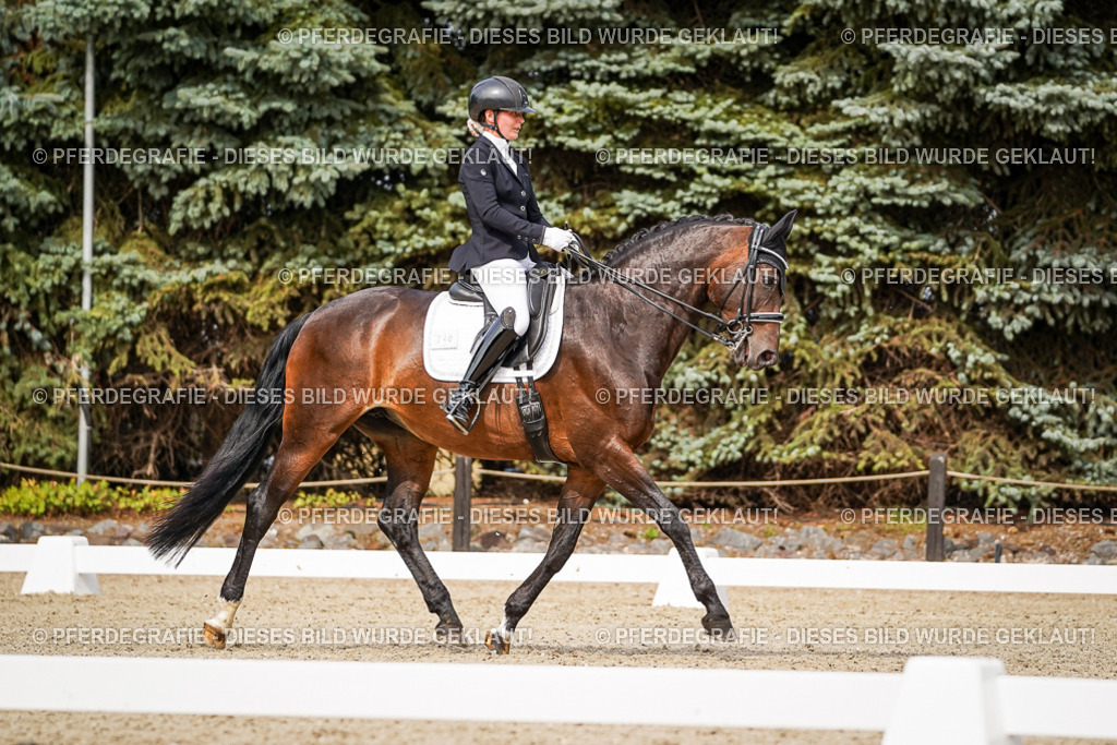 DSC06143 | Pferdegrafie