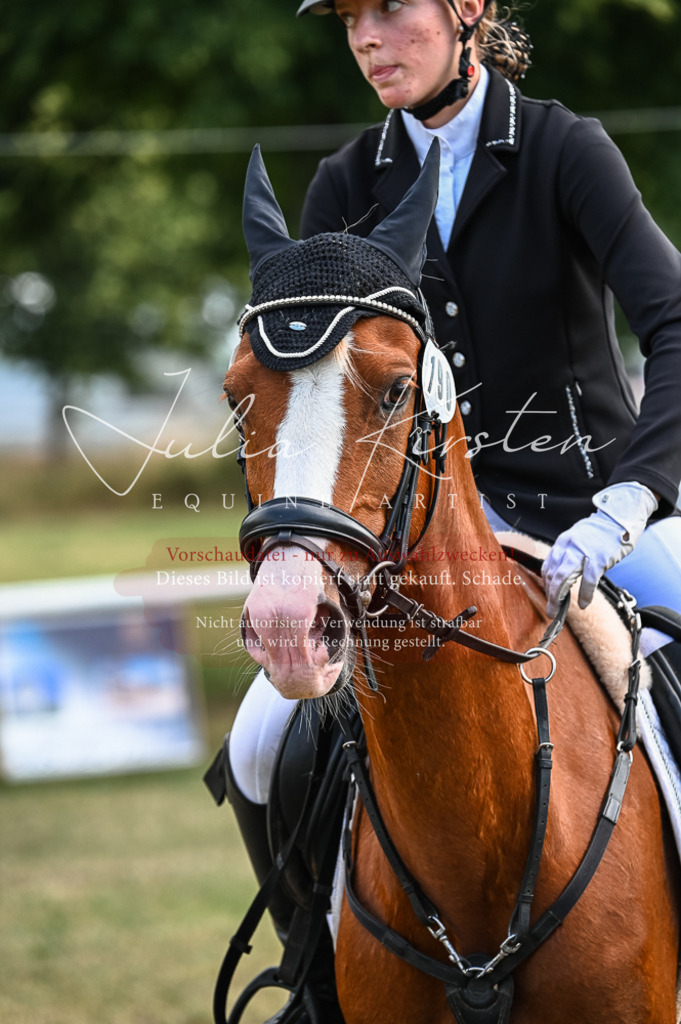 DSC_8078 | Pferde- und Turnierfotografie in Westsachsen. Pferdeportraits, Auftragszeichnungen und intuitive Kunst.