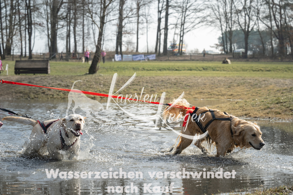 1236_ZZ90840 | kk-dogfotos