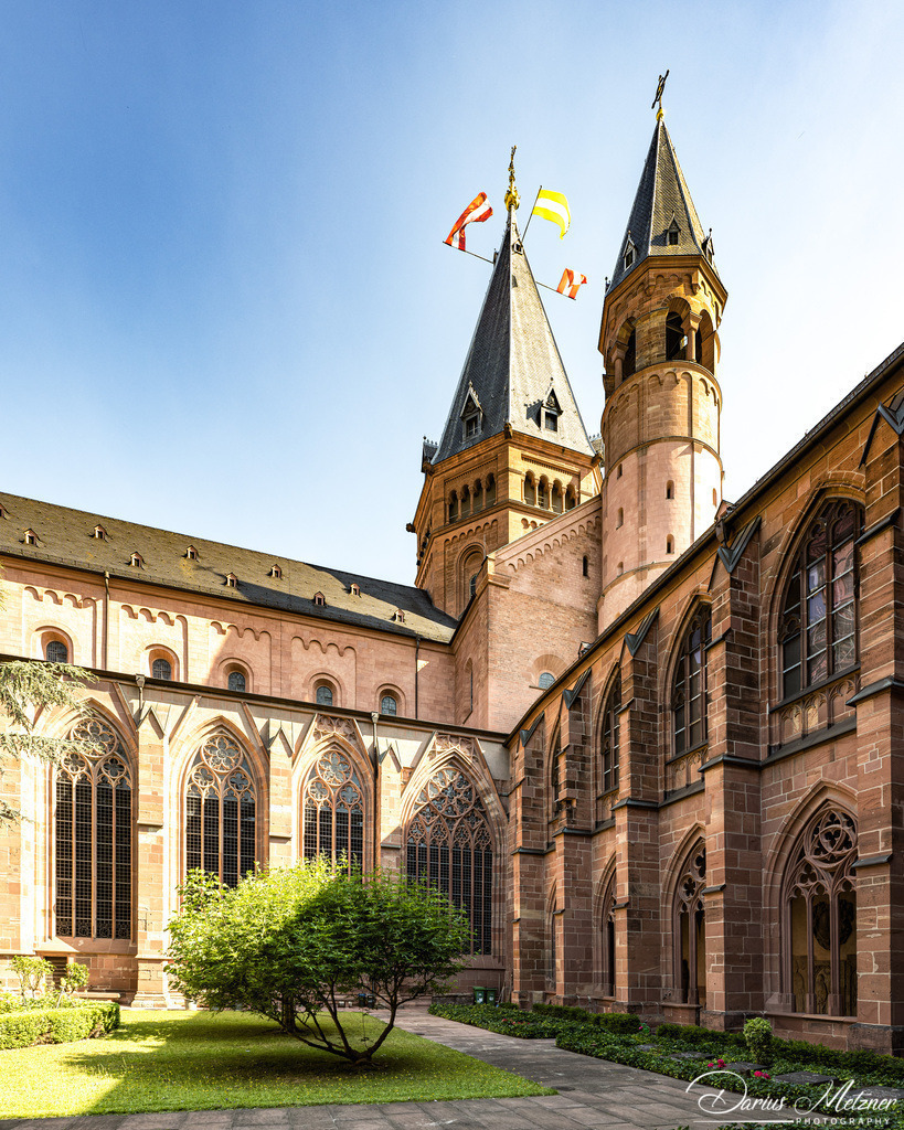 _DSC1577 | Fotografien, Fotos und Bilder aus Mainz, Frankfurt, Wiesbaden und anderen Orten auf der Welt - Fotografiert von Darius Metzner