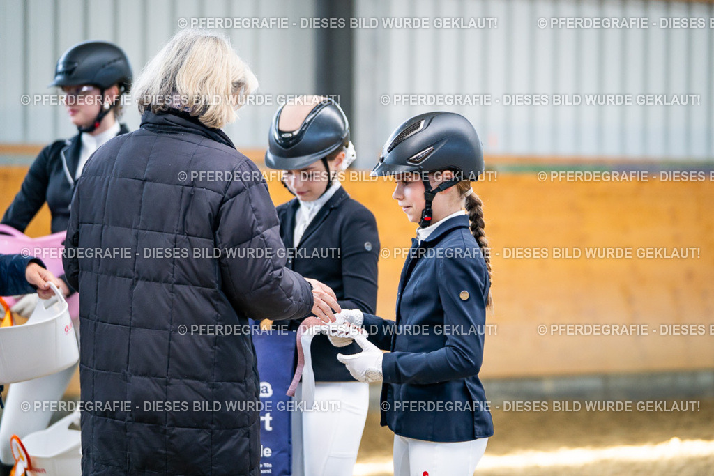 DSC02377 | Pferdegrafie