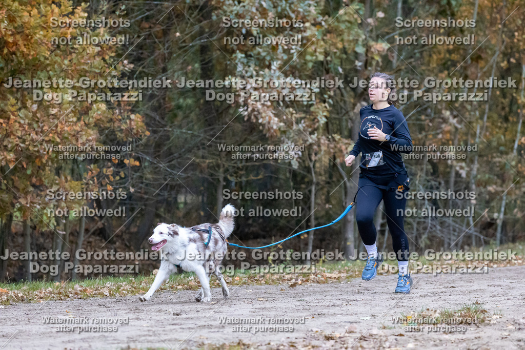 Dog Paparazzi - SD CaniX Championship 2025-155 | Dog Paparazzi Jeanette Grottendiek Fotografie & Videografie - Realisiert mit Pictrs.com