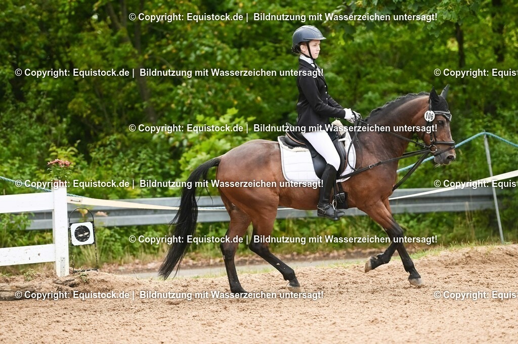 20230716_10-2_Reiter-WB Schritt - Trab - Galopp_0107 | equistock