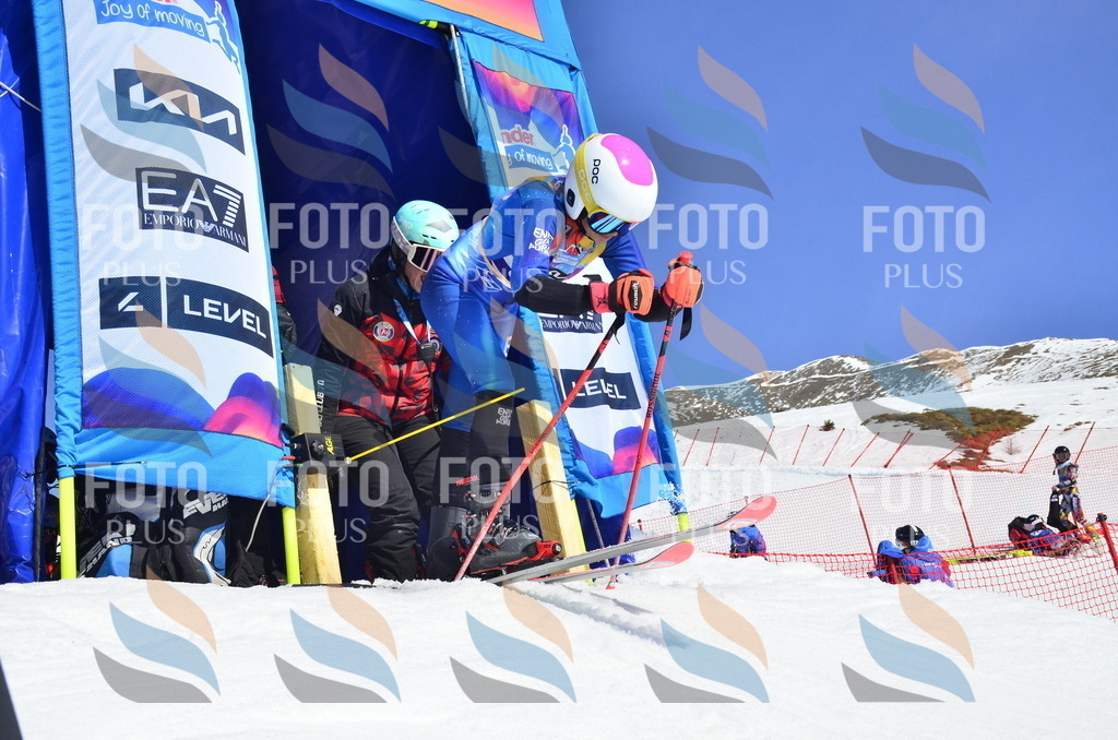 _ELE0293 | holidayphoto