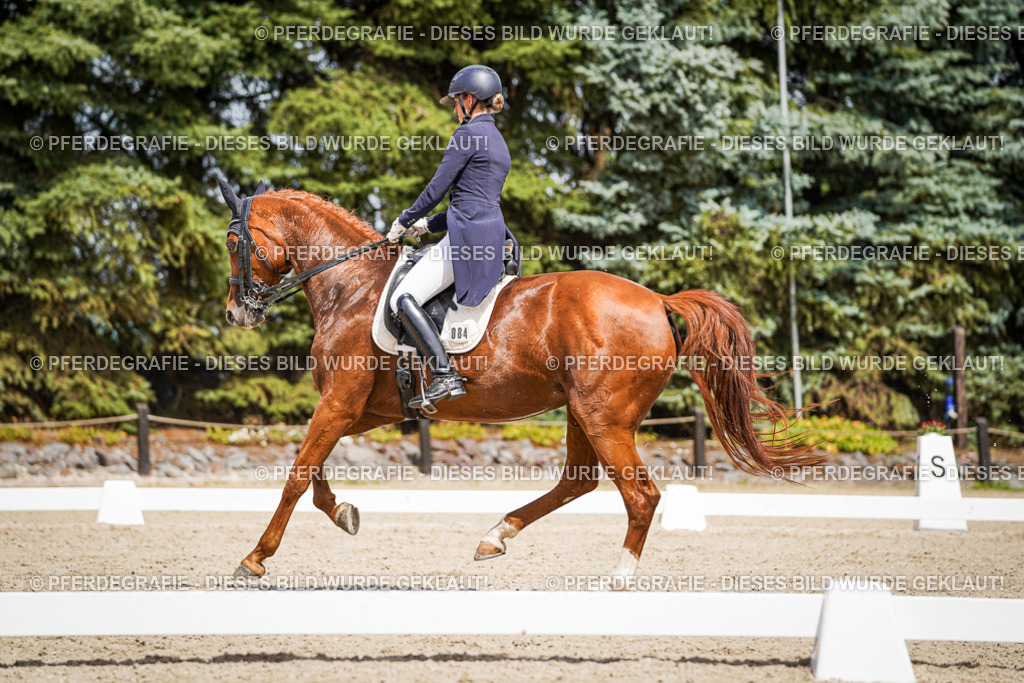 DSC06345 | Pferdegrafie