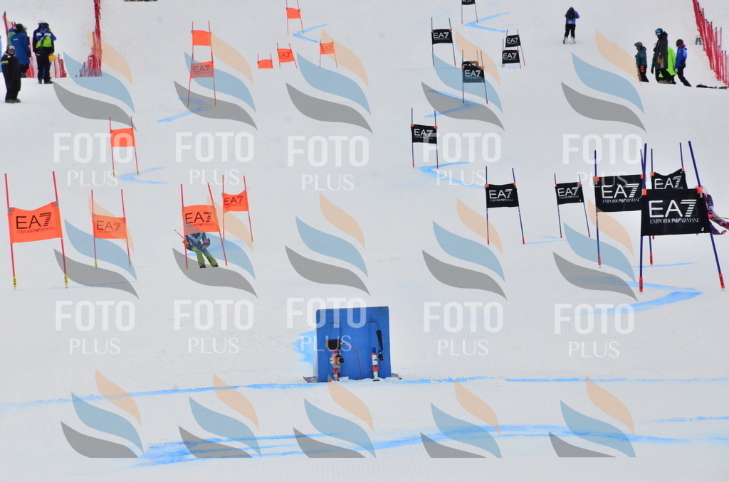 _ELE3685 | holidayphoto