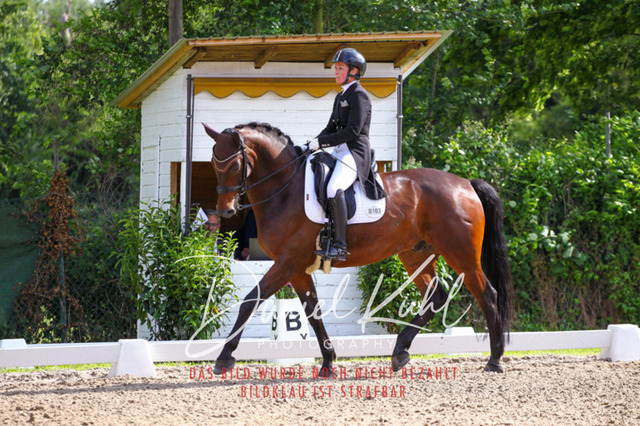 DKP41501 | Turnierfotos kaufen im Webshop von Daniel Kuhl Photography – entdecke professionelle Reitsportfotos aus Turnieren & Events. Hochwertige Turnierbilder online bestellen & sichern. Jetzt Fotos von Reitsportturnieren kaufen!