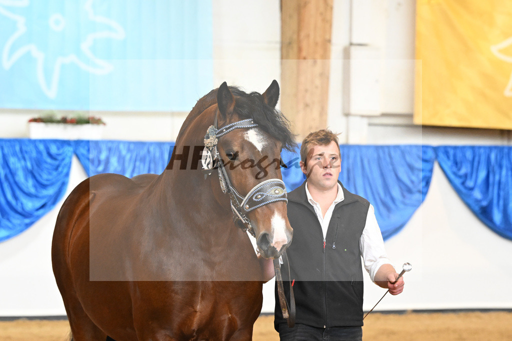 Kat-Nr. 12 Spekulatius v. Schmauzenberg_Holl_61220133 | hf-fotografie - Realisiert mit Pictrs.com