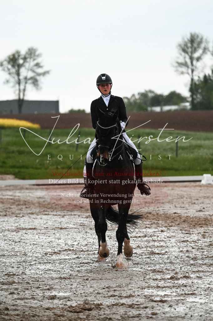 DSC_4338 | Pferde- und Turnierfotografie in Westsachsen. Pferdeportraits, Auftragszeichnungen und intuitive Kunst.