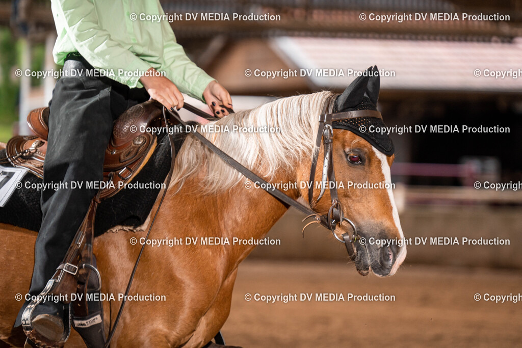 Erbach Tag 1-34 | dv-media-shop - Realisiert mit Pictrs.com