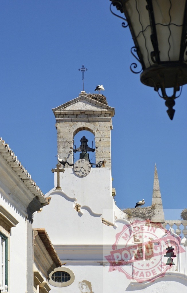 Storks nesting on鐘樓 and clock tower in Faro. Algarve - Portugal | Storks are nesting on the bell tower and surrounding buildings in Faro Old Town - Realized with Pictrs.com
