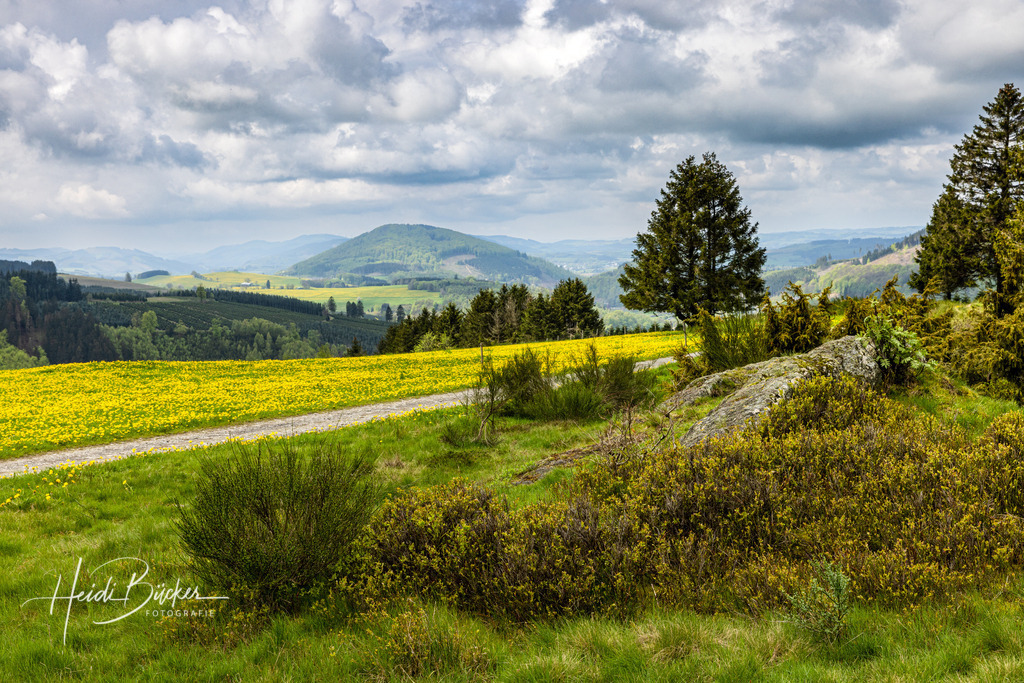 Westfeld und Umgebung 058 | Bilder und Impressionen zu jeder Jahreszeit aus dem Sauerland im Naturpark Sauerland-Rothaargebirge - Realisiert mit Pictrs.com