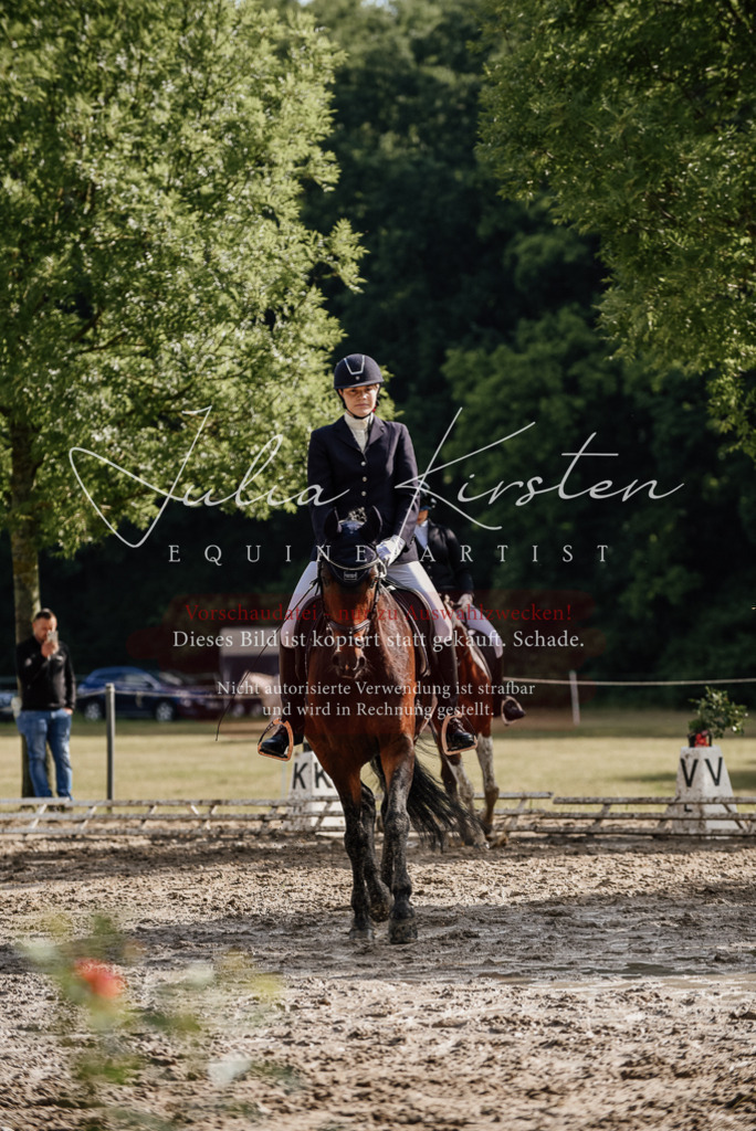 DSC_8737 | Pferde- und Turnierfotografie in Westsachsen. Pferdeportraits, Auftragszeichnungen und intuitive Kunst.