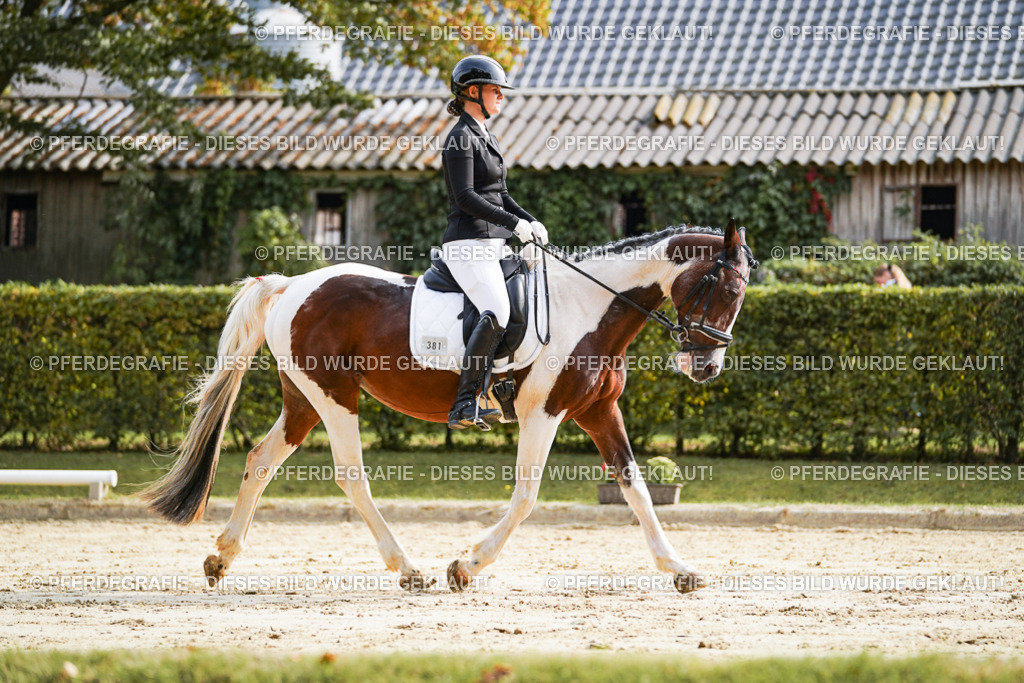 DSC04251 | Pferdegrafie