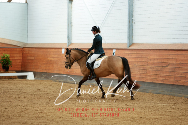 _62_5517 | Turniersportfotografie; Pferdefotografie; Dressurfotografie