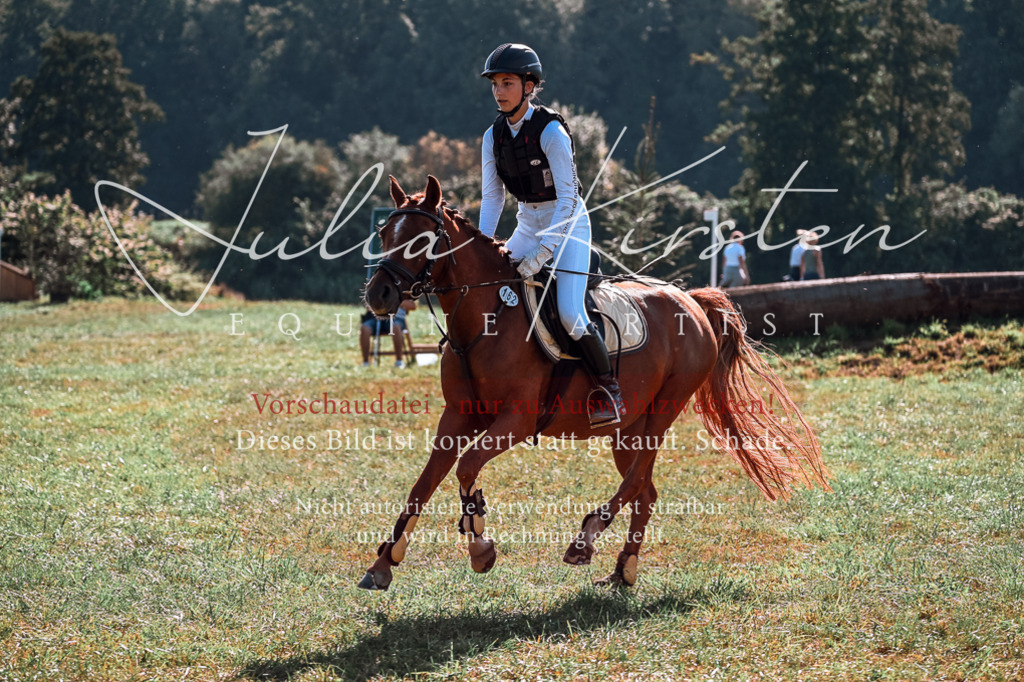 DSC_0871 | Pferde- und Turnierfotografie in Westsachsen. Pferdeportraits, Auftragszeichnungen und intuitive Kunst.