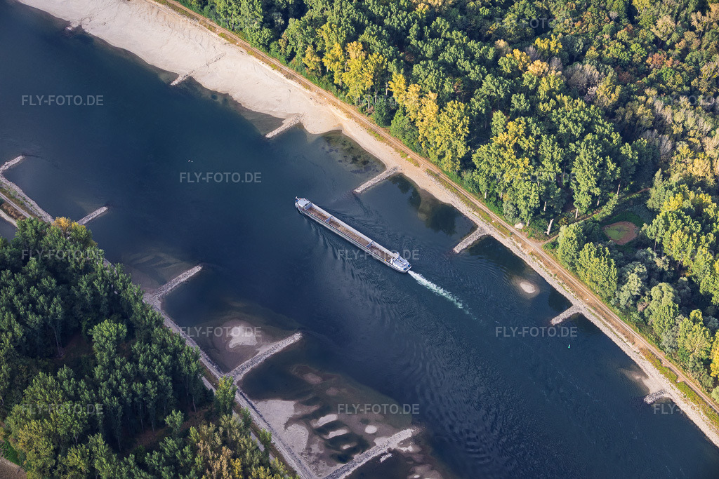 Luftbild: Leeres Frachtschiff bei Niedrigwasser am Rhein zwischen Hördter Rheinaue und Dettenheim in Hördt im Bundesland Rheinland-Pfalz in Deutschland. – Foto: IMG_158321.jpg vom 06.08.2026 durch Werner Riehm/FLY-FOTO.de – Auflösung des Originals: 6000 x 4000 px