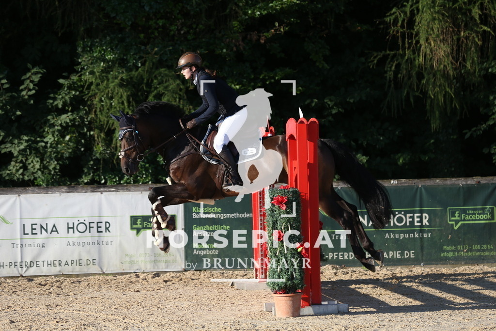 DL2Q7141 | Willkommen bei Brunnmayr - Design & Fotografie – Ihrem Spezialisten für Reitturniere und Pferdeveranstaltungen in Oberösterreich, Salzburg und Bayern! Seit über 17 Jahren sind wir leidenschaftlich dabei.