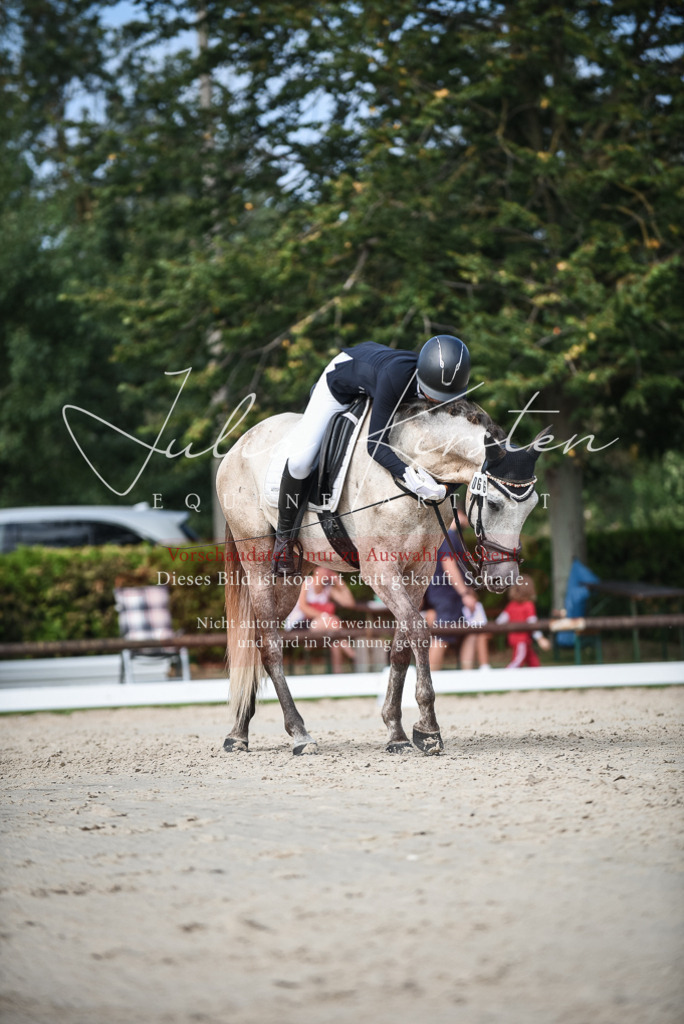 DSC_8706 | Pferde- und Turnierfotografie in Westsachsen. Pferdeportraits, Auftragszeichnungen und intuitive Kunst.