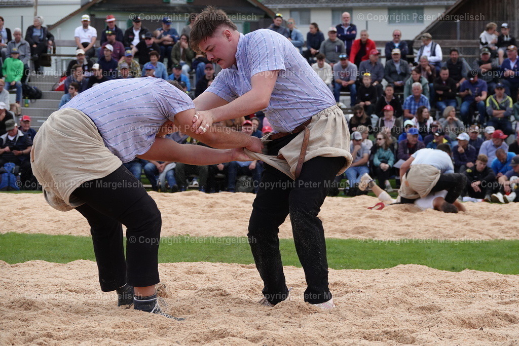 DSC02036 | Schwingen - Realisiert mit Pictrs.com