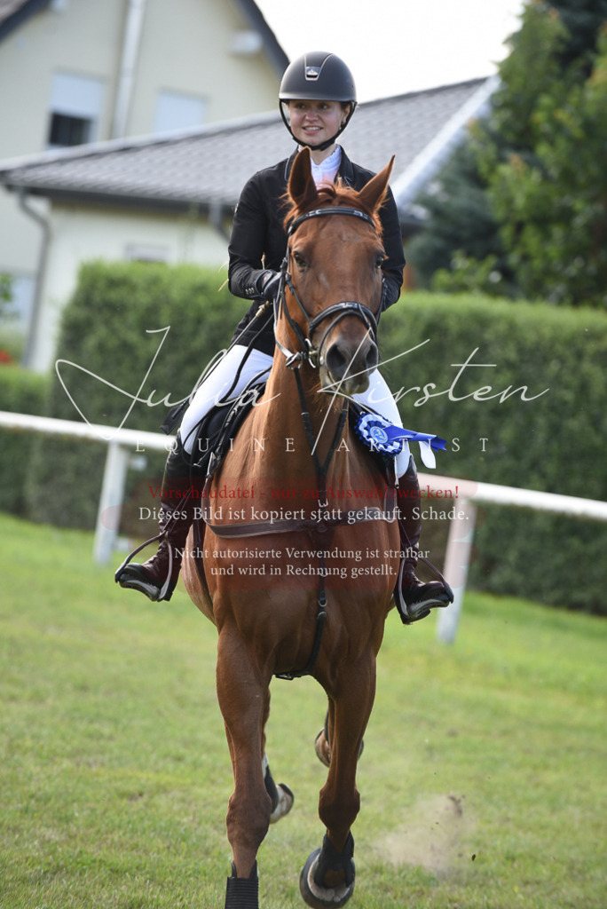 DSC_9001 | Pferde- und Turnierfotografie in Westsachsen. Pferdeportraits, Auftragszeichnungen und intuitive Kunst.