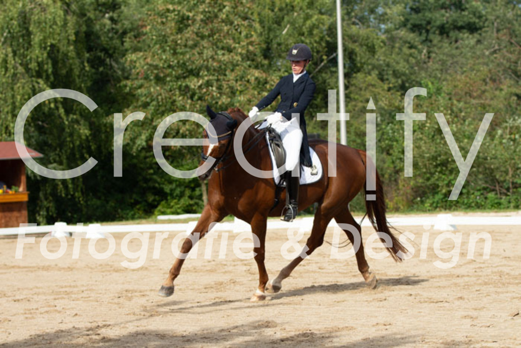 IMG_4137 | Creatify Fotografie