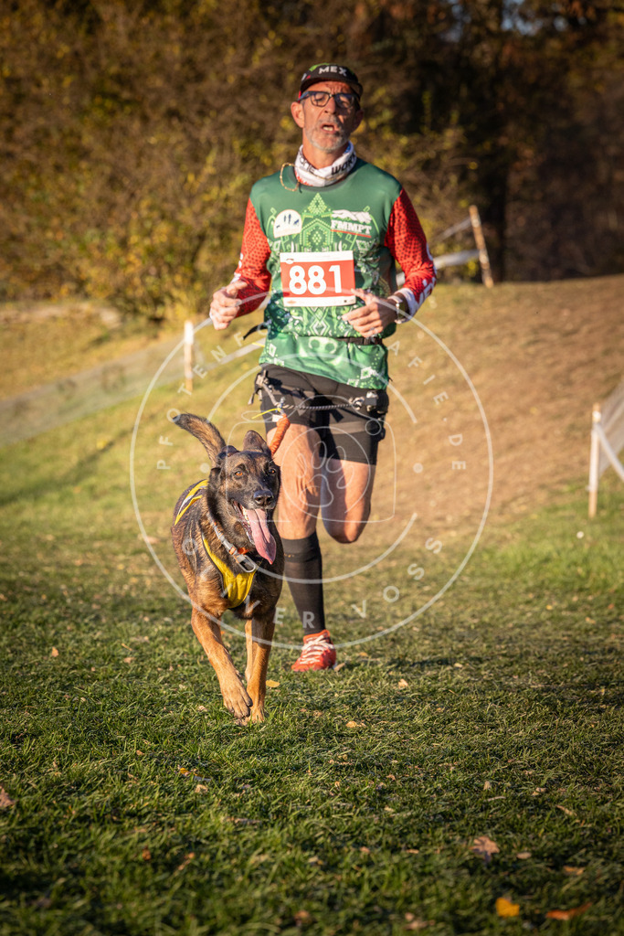 CaniXpix_0L8A1159 | Hundefotografie, Tierfotograf, Pfotenfotografie, Fotoshooting Hund, Hunde Portrait, Hundesport, Hundeportraits, Heideshooting, Hunde, Sportfotograf, Hundefotograf, Turnierhundsport, THS,  - Realisiert mit Pictrs.com