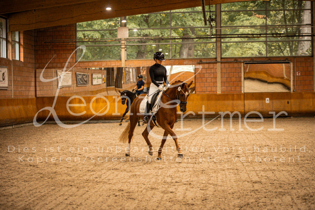 1Reiten00124 | Leoni Ertmer Photography - Realisiert mit Pictrs.com
