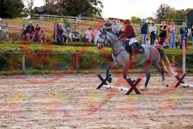 2026_10_03_Siefer-Hof_145110_Z81_29635040 | Professionelle Reitsport-, Turnier- und Eventfotografie von Robert Broda. Galerien mit ausgewählten und bearbeiteten Bildern direkt online ansehen und bestellen.