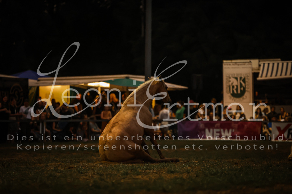 SaShow00293 | Leoni Ertmer Photography - Realisiert mit Pictrs.com