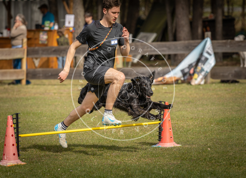 Pfotenfotografie_DV3A9323 | Hundefotografie, Tierfotograf, Pfotenfotografie, Fotoshooting Hund, Hunde Portrait, Hundesport, Hundeportraits, Heideshooting, Hunde, Sportfotograf, Hundefotograf, Turnierhundsport, THS,  - Realisiert mit Pictrs.com