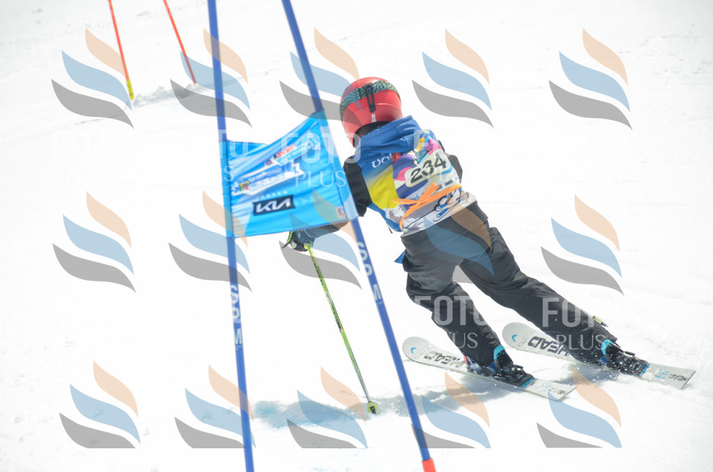 _ELE7355 | holidayphoto