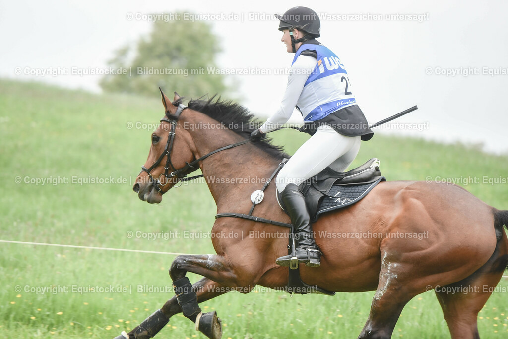 20230513_CCI4_Gelände_0319 | equistock