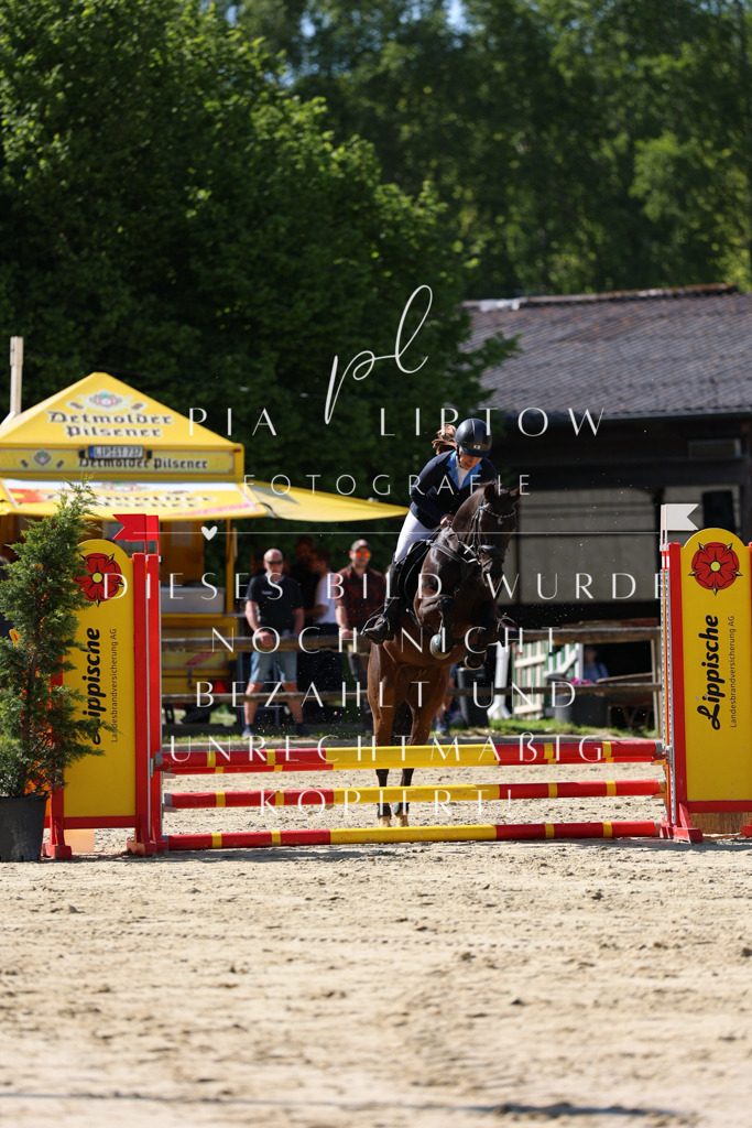 IMGS4689 | pl-fotografie