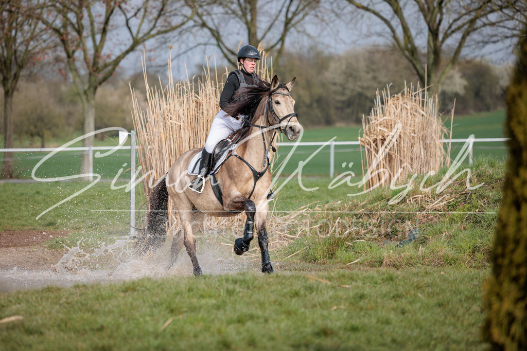20260329-_3LI3630 | Tierfotografie Pferde, Hunde, Katzen, Haustiere.
Turnierfotografie Reitturniere, Reiten, Springreiten, Dressur in Hanau, dem Main-Kinzig-Kreis und dem Rhein-Main- Gebiet um Frankfurt