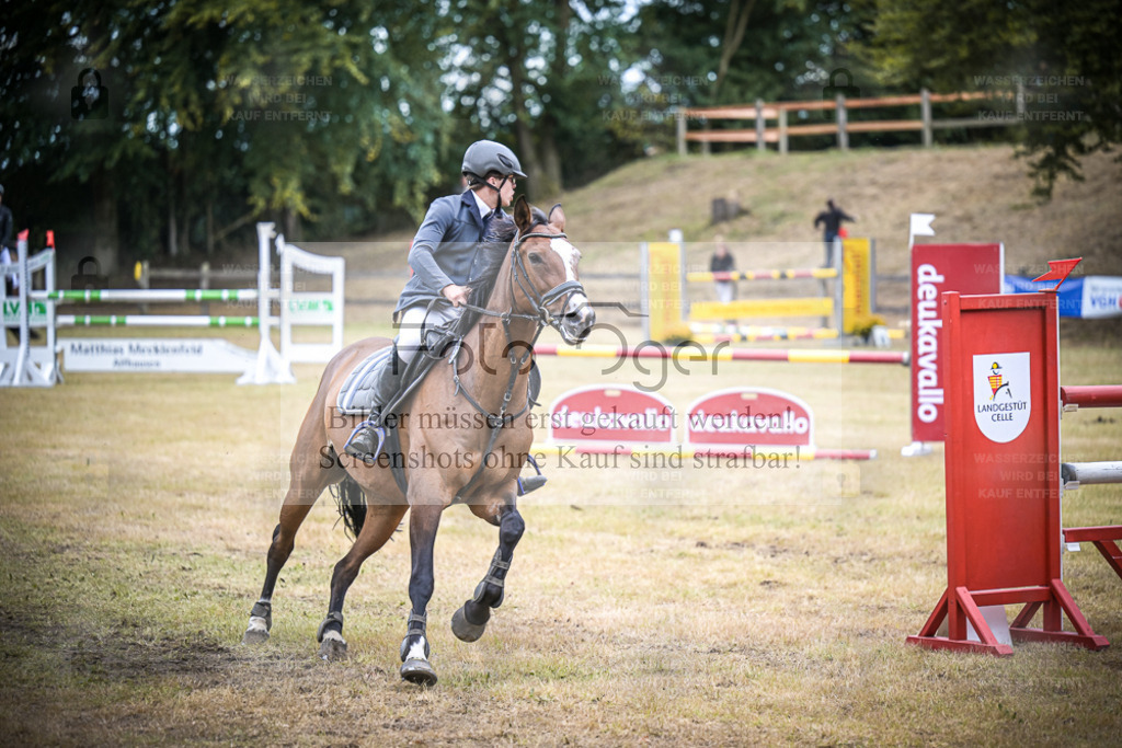 DOS_0240 | Entdecke hochwertige Reitturnierfotos von Foto Oger. Professionell, emotional und authentisch – jetzt Lieblingsmomente im Shop bestellen. - Realisiert mit Pictrs.com