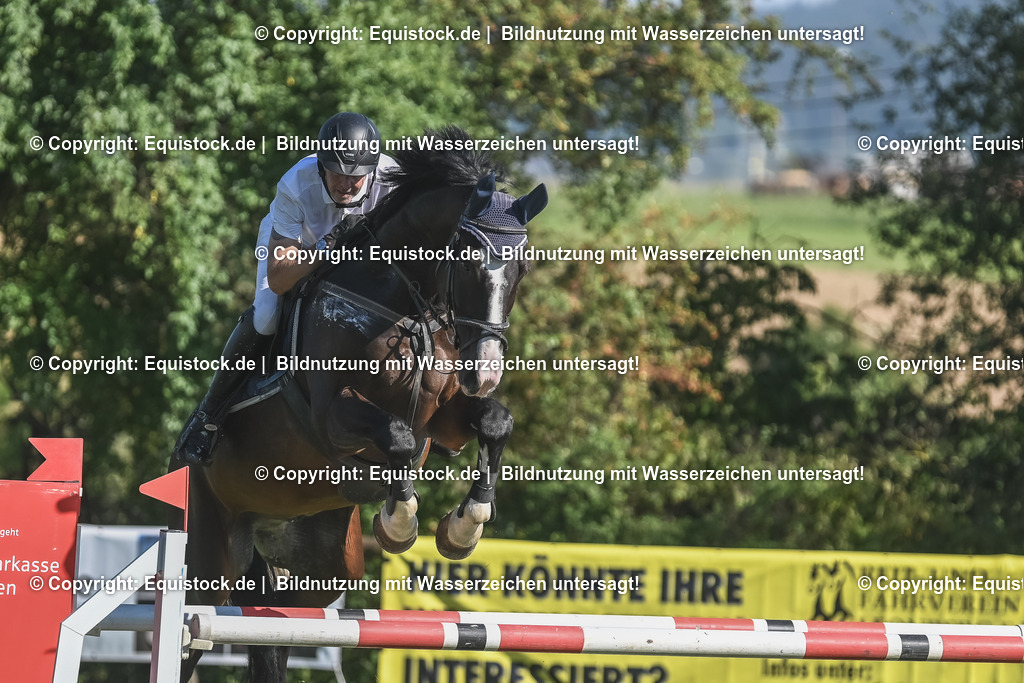 20230908_24_Springen_M_0005 | equistock