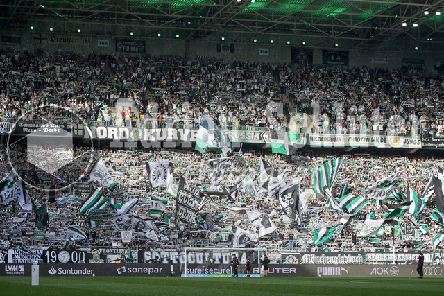 Borussia Mönchengladbach vs SV Werder Bremen - Bundesliga  | Mönchengladbach, Deutschland, 14.09.25:   die Fans von Borussia Mönchengladbach mit Schals, Fahnen und Bannernwaehrend des Spiels der Bundesliga zwischen Borussia Mönchengladbach vs SV Werder Bremen im Stadion im Borussia Park(Foto von Brauer-Fotoagentur / Adrian Schlueter)